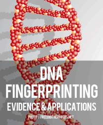 DNA Fingerprinting – Evidence and Applications